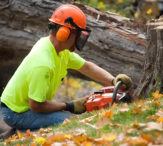 tree services Contoocook